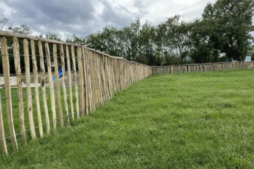 05 Staketenzaun Robinie