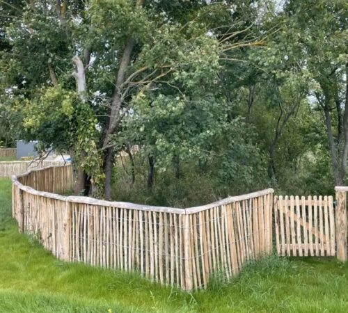 06 Staketenzaun Robinie