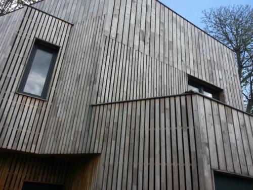 Robinie Schalung grau