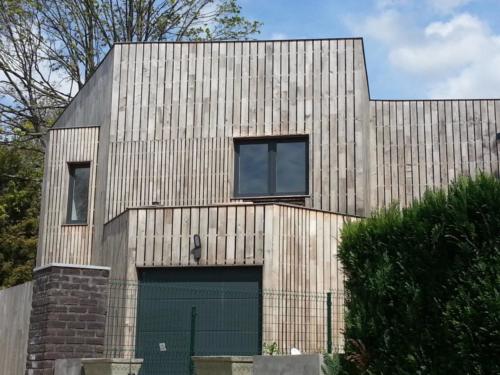 Robinie Fassadenholz grau