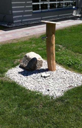 Robinie Wasserspender