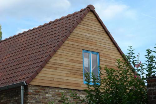 Robinie Schalung Nut-Feder 