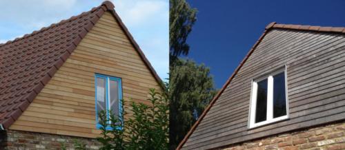 RobinieSchalung Nut-Feder 