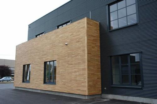 Robinie Rhombus Schalung 50mm