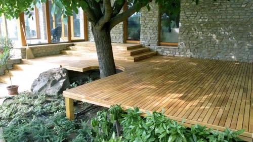 Robinie Terrasse Garten