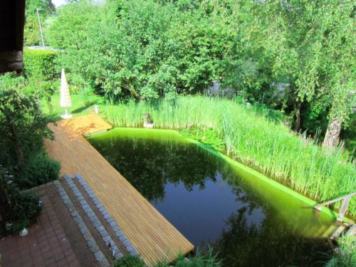 Naturteich Terrasse Robinie 60mm