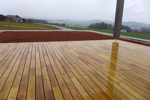 Robinie Terrasse Clip geölt