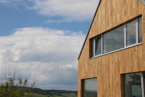 Robinie Fassade Breitenmix