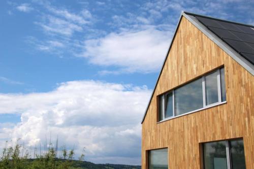 Robinie Fassade vertikal