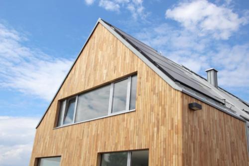 Fassade aus Robinienholz