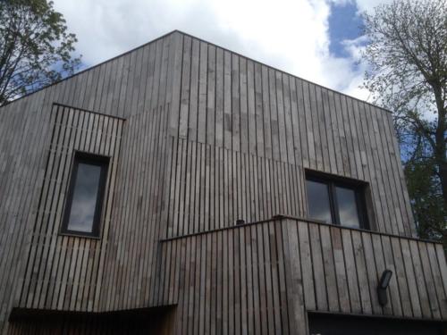 Robinie Fassade grau