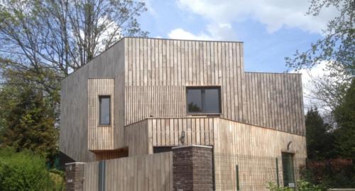 Robinie Fassade vertikal 