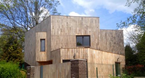 Robinie Fassadenlatte 