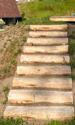 erdstufen hangstufen Robinie