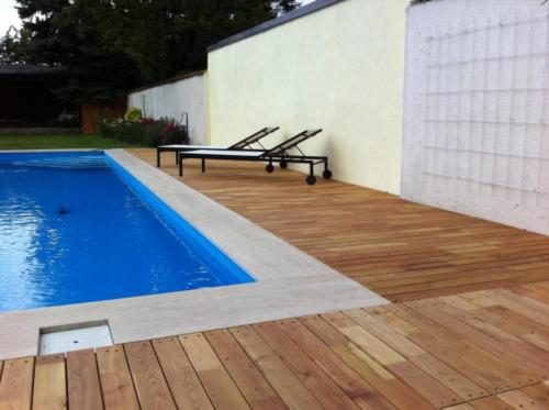 Pool Terrasse Robinie