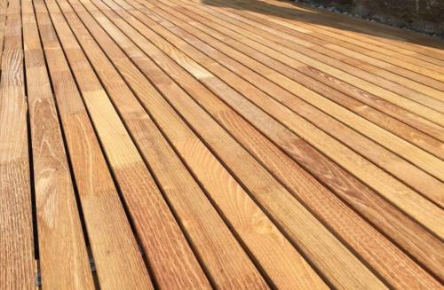 Robinie Terrassendiele 22x50 