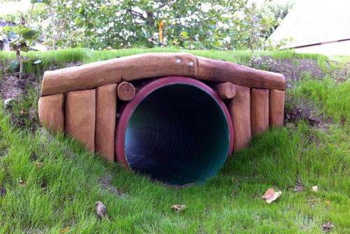 Robinie Kriechtunnel