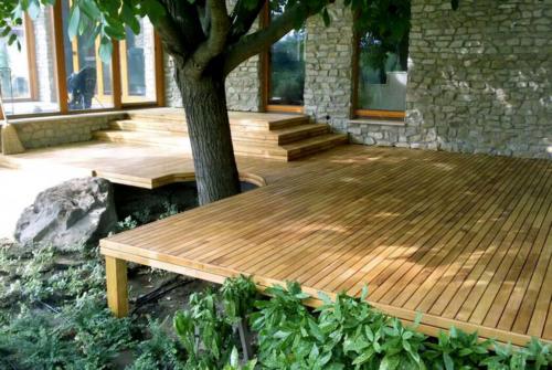 Robinie Terrassengarten