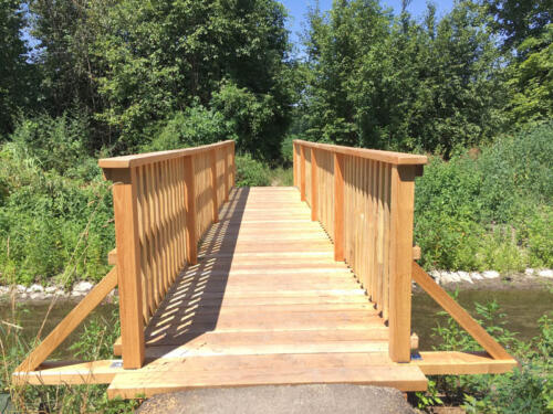 Fussgaengerbruecke Robinie 2