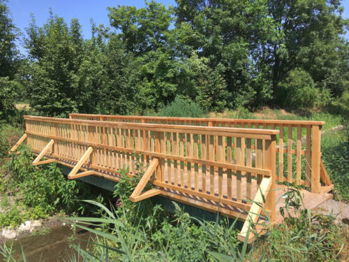 Fussgängerbrücke Robinie