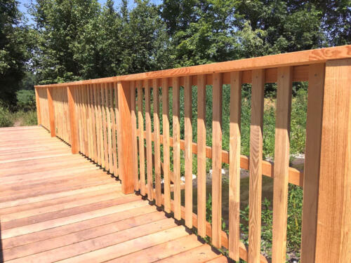 Fussgaengerbruecke Robinie